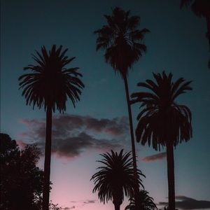 Meet your Posher, Mauricio